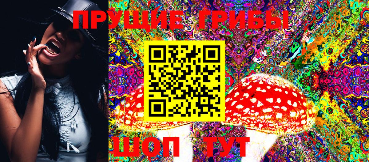 Галлюциногенные грибы Cubensis Добрянка